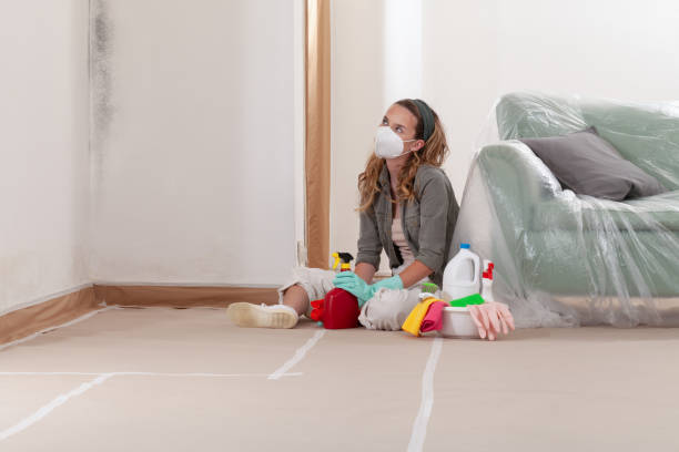 Reliable Crawl Space Mold Removal contractor in Temple Hills, MD by WQB Mold Removal